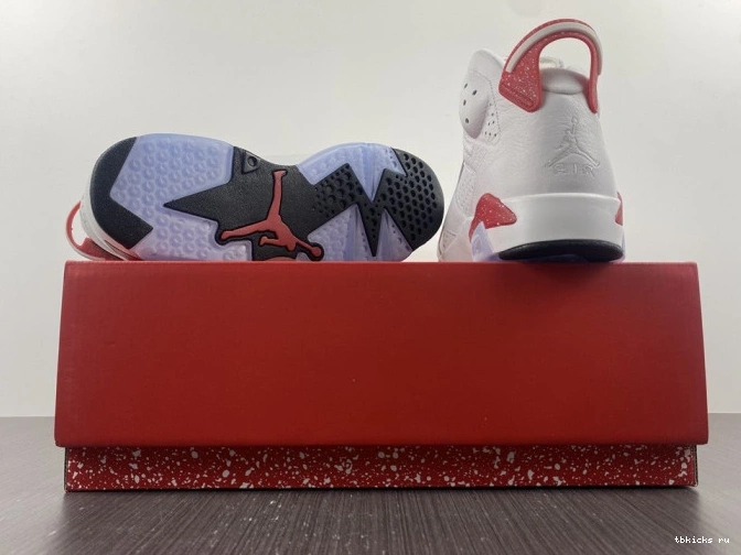 Reps TB CT8529-162 Hare Jordan 6 Retro 0629